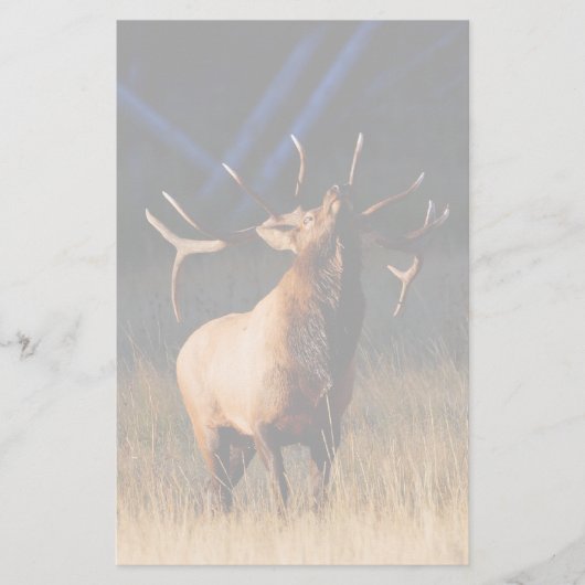 Elche Briefpapier (Vorderseite)