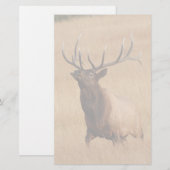 Elche Briefpapier (Vorne/Hinten)