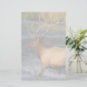 Elche Briefpapier (Stehend Vorderseite)