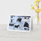 Elche Collage; glücklich zum Geburtstag Karte (Gelbe Blume)