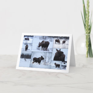 Elche Collage; glücklich zum Geburtstag Karte