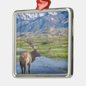 Elche Colorados Rocky Mountains Silbernes Ornament (Links)