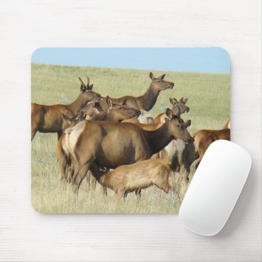 Elche der Kuh-E7, die Kalb füttern Mousepad (Mit Mouse)
