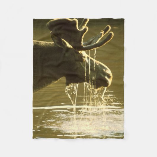 Elche, die seinen Kopf in Wasser eintauchen Fleecedecke (Vorderseite)