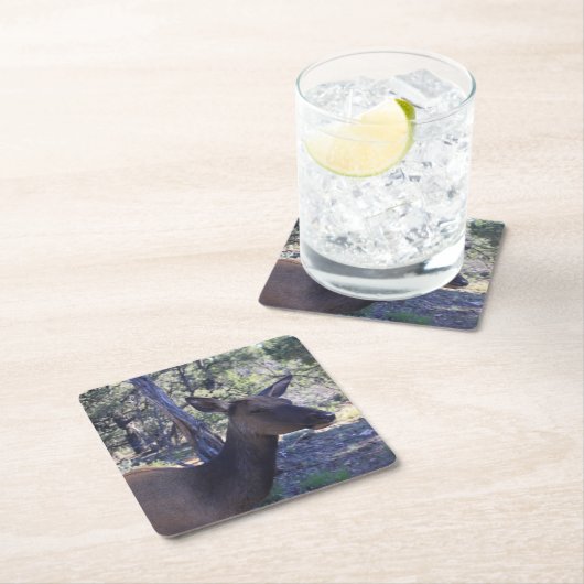 Elche Drink Untersetzer (Vor Ort)