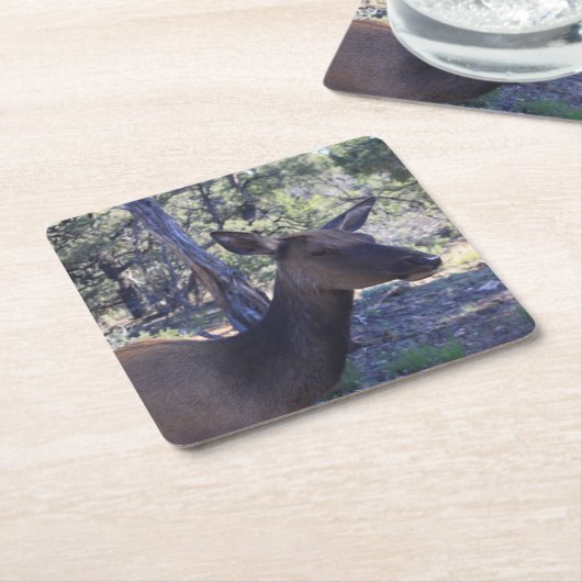 Elche Drink Untersetzer (angewinkelt)