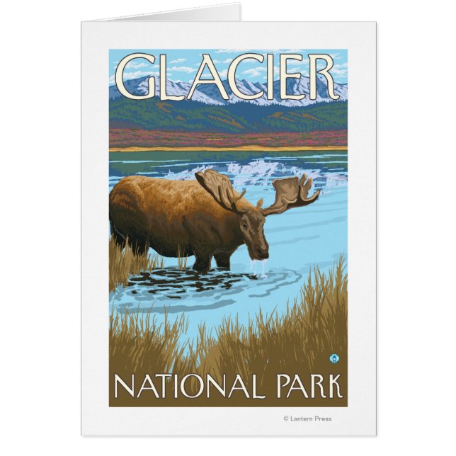 Elche Drinks am See - Glacier National Park, (Vorne)
