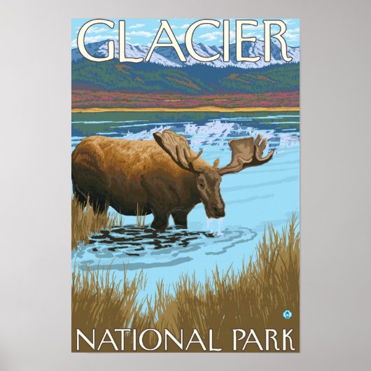 Elche Drinks am See - Glacier National Park, Poster (Vorne)