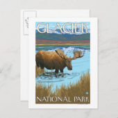 Elche Drinks am See - Glacier National Park, Postkarte (Vorne/Hinten)