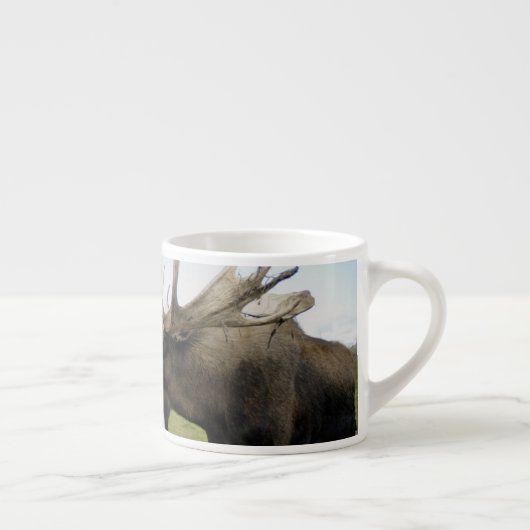 Elche Espressotasse (Rechts)