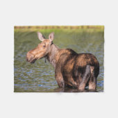 Elche Fütternd im Glacier National Park, Montana Fleecedecke (Vorderseite (Horizontal))