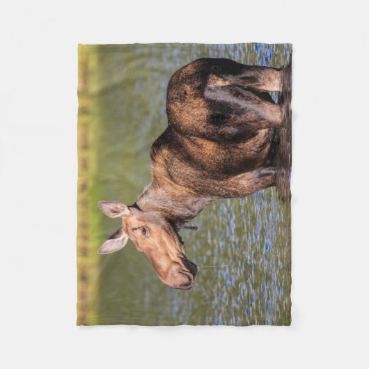 Elche Fütternd im Glacier National Park, Montana Fleecedecke (Vorderseite)