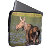 Elche Fütternd im Glacier National Park, Montana Laptopschutzhülle (Vorne Rechts)