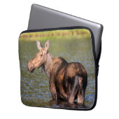 Elche Fütternd im Glacier National Park, Montana Laptopschutzhülle (Vorderseite Links)