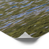 Elche Fütternd im Glacier National Park, Montana Poster (Ecke)