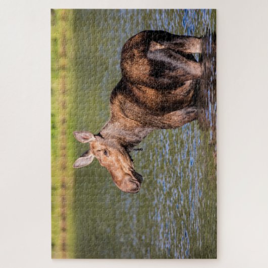 Elche Fütternd im Glacier National Park, Montana Puzzle (Vertikal)