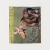 Elche Fütternd im Glacier National Park, Montana Wandteppich (Vorderseite)