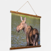 Elche Fütternd im Glacier National Park, Montana Wandteppich Mit Holzrahmen (Gewinkelt)