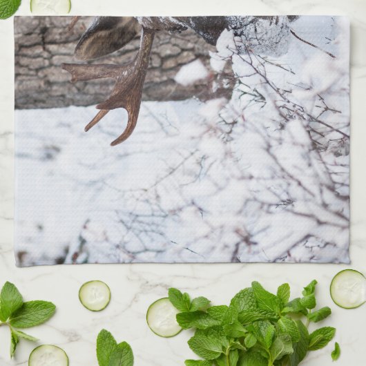 Elche Geschirrtuch (Gefaltet)