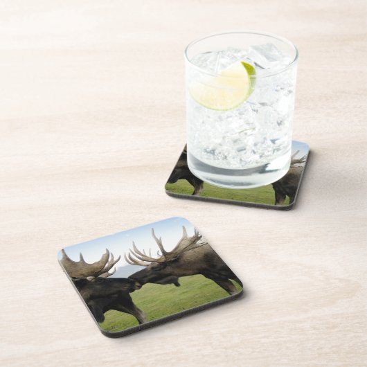 Elche Getränkeuntersetzer (Rechte Seite)