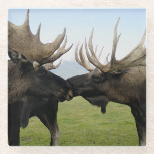 Elche Glasuntersetzer