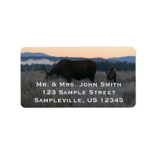 Elche Grazing at Sunrise at Grand Teton Adressaufkleber