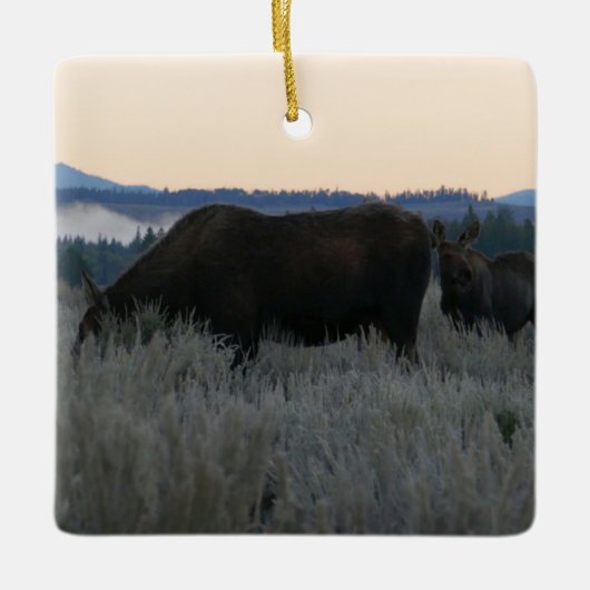 Elche Grazing at Sunrise at Grand Teton Keramikornament (Vorderseite)