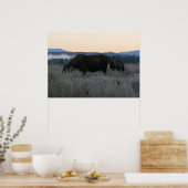 Elche Grazing at Sunrise at Grand Teton Poster (Küche)