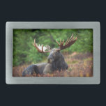 Elche Gürtelschnalle<br><div class="desc">Wunderschönes Foto eines majestätischen Elchs, der sich in einem Feld von Wildblumen zurückzieht. Foto von Shivam Kumar.</div>