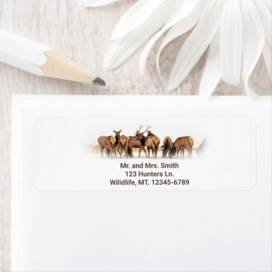 Elche Herde Füttre Rücksendeadresse (Insitu)