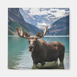 Elche im Banff National Park Kanada Magnet