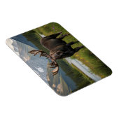 Elche im Banff National Park Kanada Magnet (Rechte Seite)