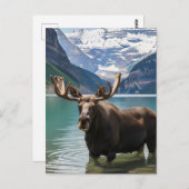 Elche im Banff National Park Kanada Postkarte (Vorne/Hinten)