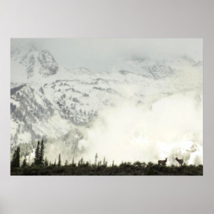 Elche im Grand Teton National Park Fotografie Poster