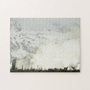 Elche im Grand Teton National Park Fotografie Puzzle