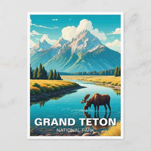 Elche im Grand Teton Nationalpark Postkarte (Vorderseite)