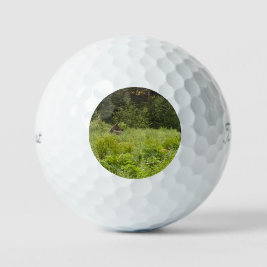 Elche im Grass Golf Ball - AK Wildlife Design (Vorderseite)