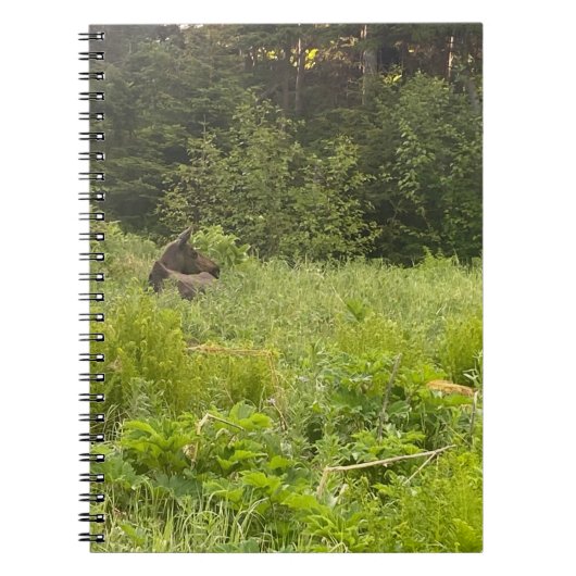 Elche im Grass-Notebook Notizblock (Vorderseite)