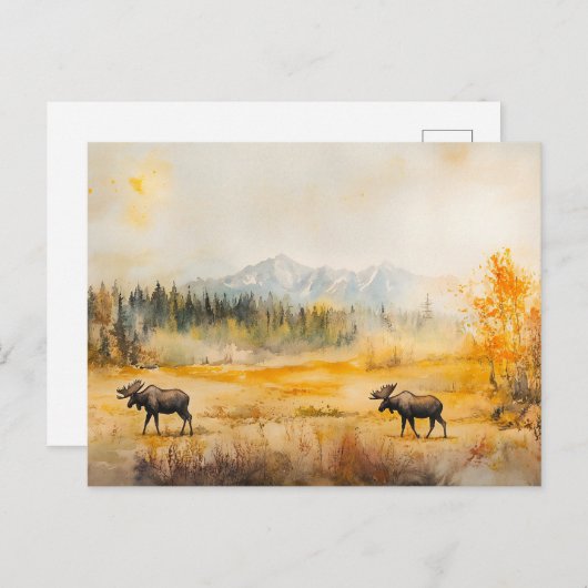 Elche im Herbst - Postkarte (Vorne/Hinten)