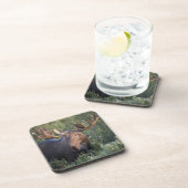 Elche im Samt-Untersetzer-Set Getränkeuntersetzer (Rechte Seite)