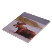 Elche im See Fliese (Seite)