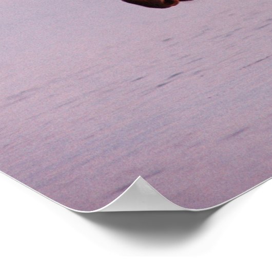 Elche im See Poster (Ecke)