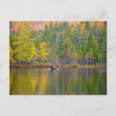 Elche im See Postkarte (Vorderseite)