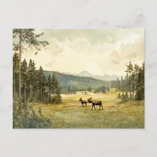 Elche im Sommer - Postkarte (Vorderseite)