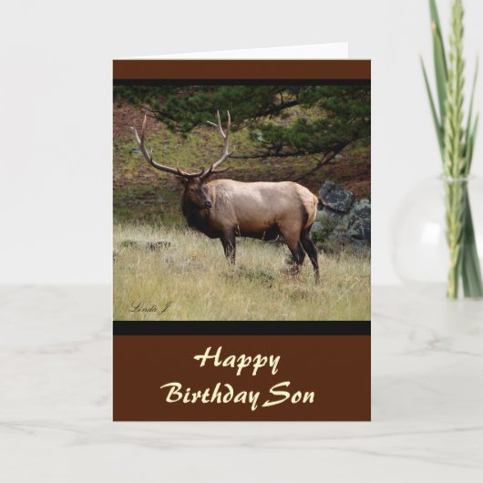 Elche im wilden karte (Vorderseite)