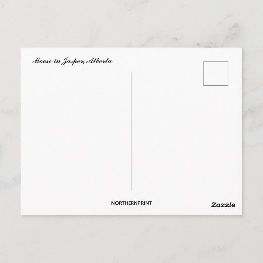 Elche im Winter in Jasper Alberta Kanada Postkarte (Rückseite)