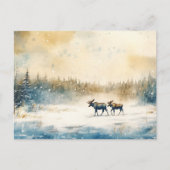 Elche im Winter - Postkarte (Vorderseite)
