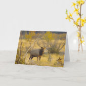 Elche in Colorado Karte (Gelbe Blume)