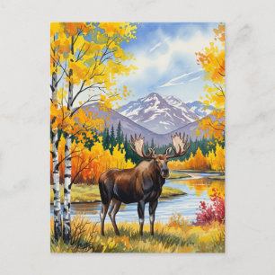 Elche in Denali Nationalpark Alaska Vintag Postkarte