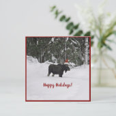 Elche in einer Weihnachtsmannmütze-Ferienkarte Karte (Stehend Vorderseite)